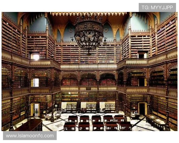 尊龙d88用现最新版本介绍及安全使用指南帮助玩家快速上手