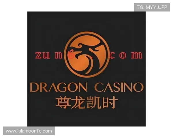 尊龙凯时平台入口登录遇到问题怎么办？详细解决方案与客服联系方式