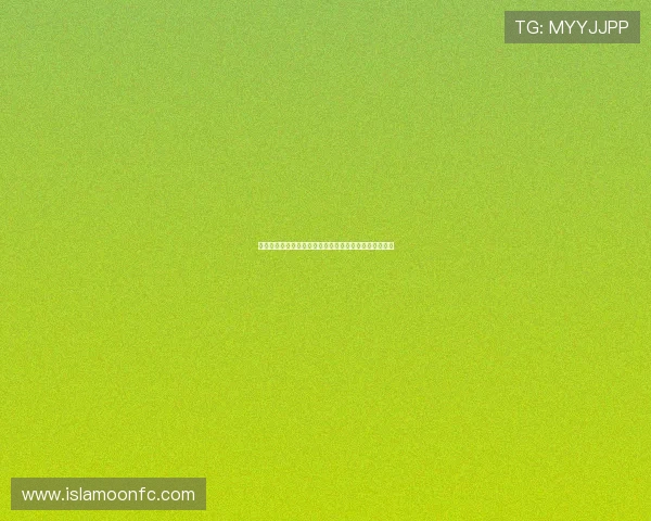 尊龙开户攻略全方位指南让你快速注册无忧体验尊龙娱乐